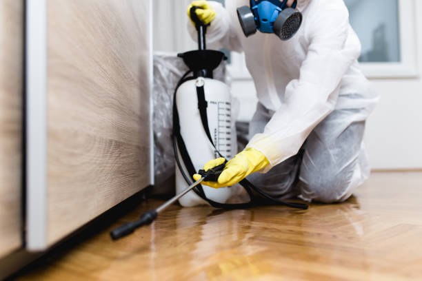 Best Wildlife Control Services  in Shoreview, MN