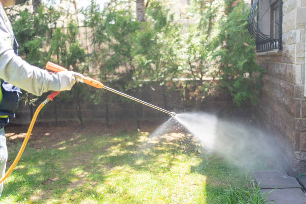 Best Affordable Pest Control Services  in Shoreview, MN