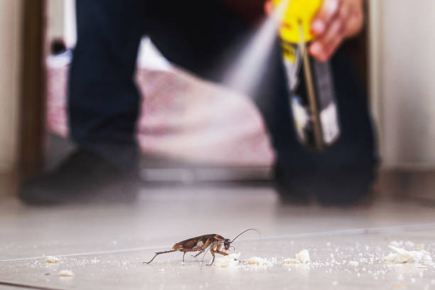  Shoreview, MN Pest Control Pros